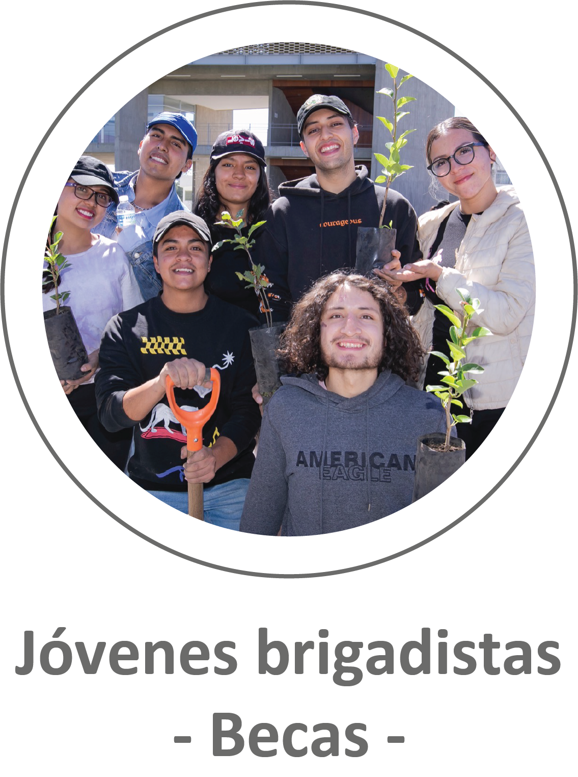 Procedimientos, manuales y materiales de consulta