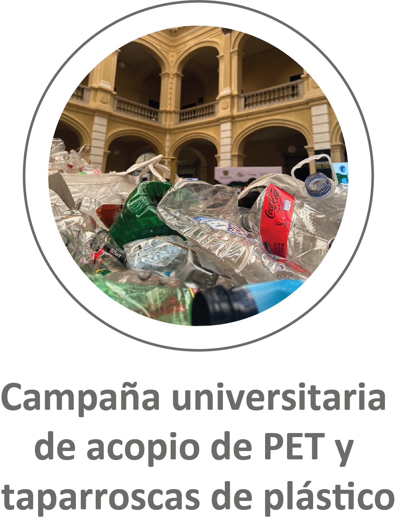 Procedimientos, manuales y materiales de consulta